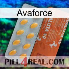 Avaforce 43